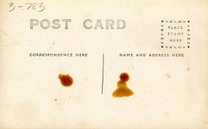 Ladies in Buggy with Horse     *RPPC