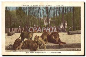 Old Postcard Lions and lionesses Zoo International Colonial Exposition Paris ...