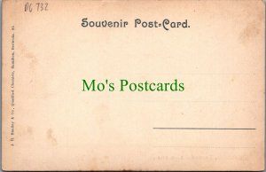 Bermuda Postcard - Hamilton, The South Shore DC732