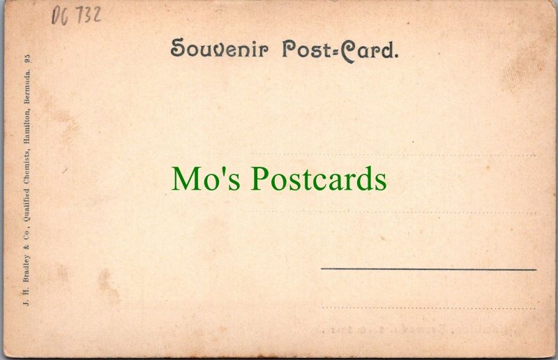 Bermuda Postcard - Hamilton, The South Shore DC732