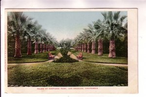 Palms at Eastlake Park, Los Angeles, California, EP Charlton