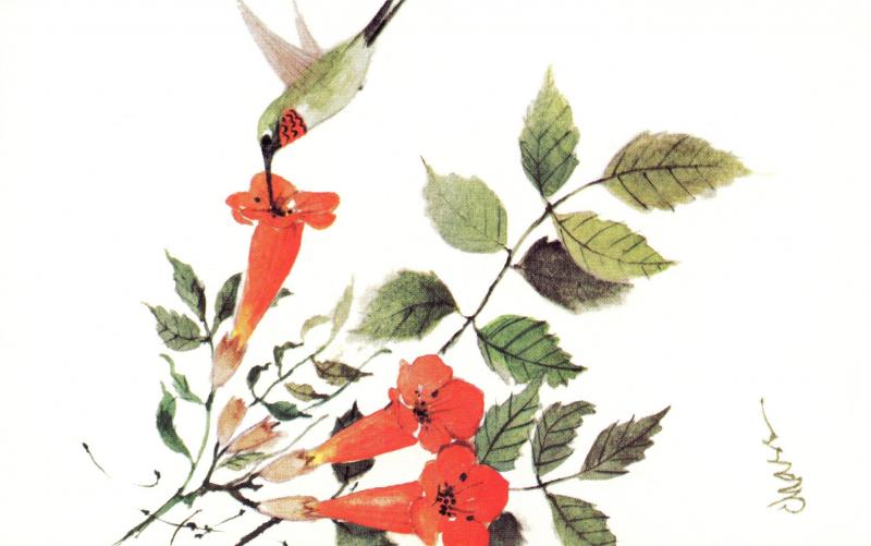 US    PC968  HUMMINGBIRD AND FLOWERS, BY MARIAN HEATH