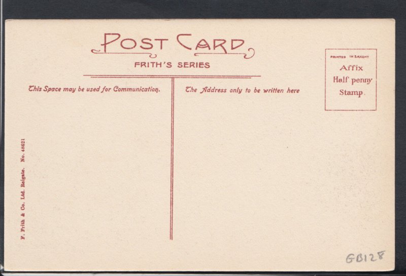 Oxfordshire Postcard - Oxford, Trinity College, Lime Tree Walk  RS9571