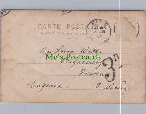 Genealogy Postcard - Watts - Brynheulog, Dowlais, South Wales RS8830