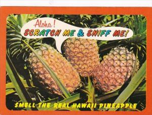 Hawaii PIneapples Aloha Scratch Me & Sniff Me