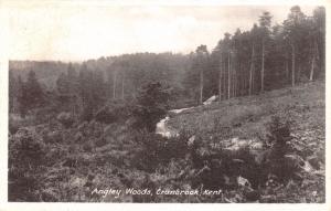 CRANBROOK KENT UK ALGLEY WOODS~SHOESMITH & ETHERIDGE PHOTO POSTCARD