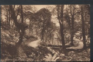 Devon Postcard - Clovelly, Hobby Drive      RS10067