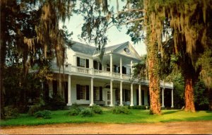 Mississippi Natchez Linden Built Before 1790