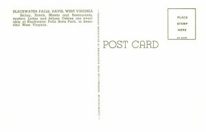 Postcard WATER SCENE Davis Virginia VA AS2855