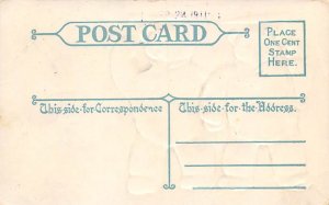 Greetings from New York, USA Postcard