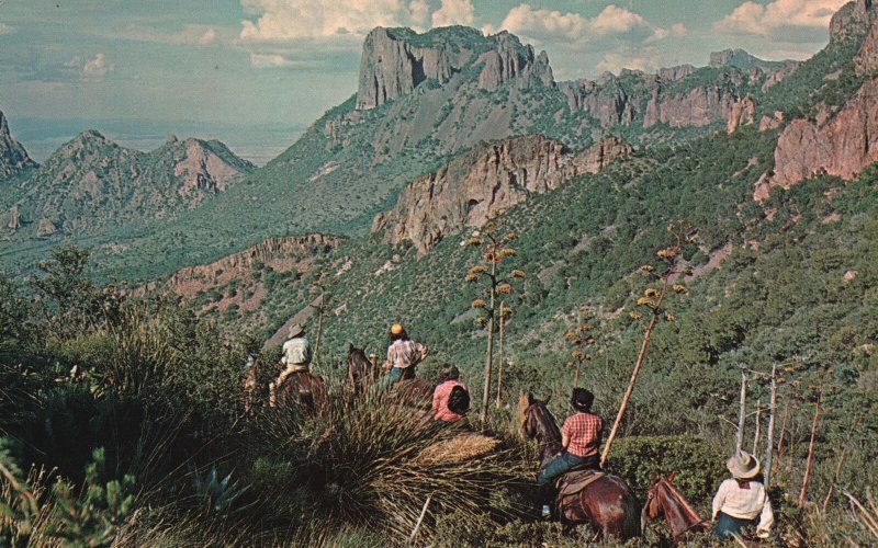 Vintage Postcard 1978 South Rim Trail Attractions Big Bend National Park Texas