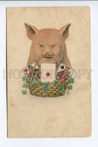 423375 NEW YEAR Angry PIG w/ Playing Cards Vintage RPPC 1915 y