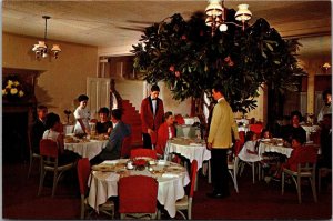 Lee's Inn and Motel Rhododendron Room Highlands NC Vintage Postcard O66