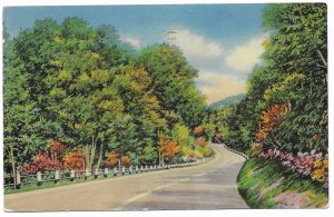 US Kings, Illinois. scenic drive.  old card with postage, mailed 1958.