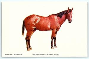 Postcard A/S 1952 Trail's End Artist Charles M Russell Red Bird Favorite Horse