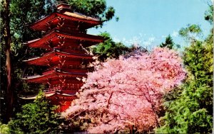 Pagoda Five Stories Japanese Tea Garden San Francisco California CA Postcard VTG 