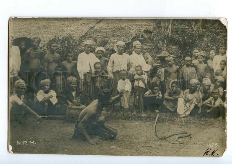 497885 Dutch India Indonesia snake charmer Vintage photo postcard