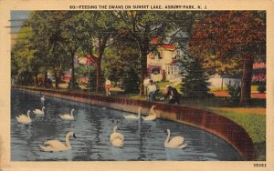 Feeding the Swans on Sunset Lake Asbury Park, New Jersey  