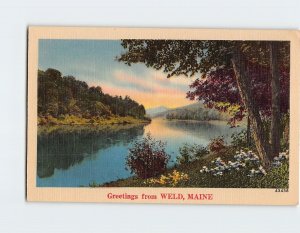 Postcard Greetings from Weld, Maine