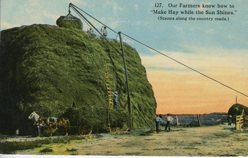 Our Farmers Make Hay While The Sun Shines Farming Horses Vintage Postcard D24