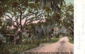 Vintage Postcard 1907 Haunted Oak On Automobile Trail Near Daytona Florida FL