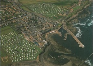 Northumberland Postcard - Aerial View of Seahouses   RR23565