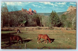 Sedona Arizona AZ Postcard Grazing Land South End Oak Creek Canyon c1970 Vintage