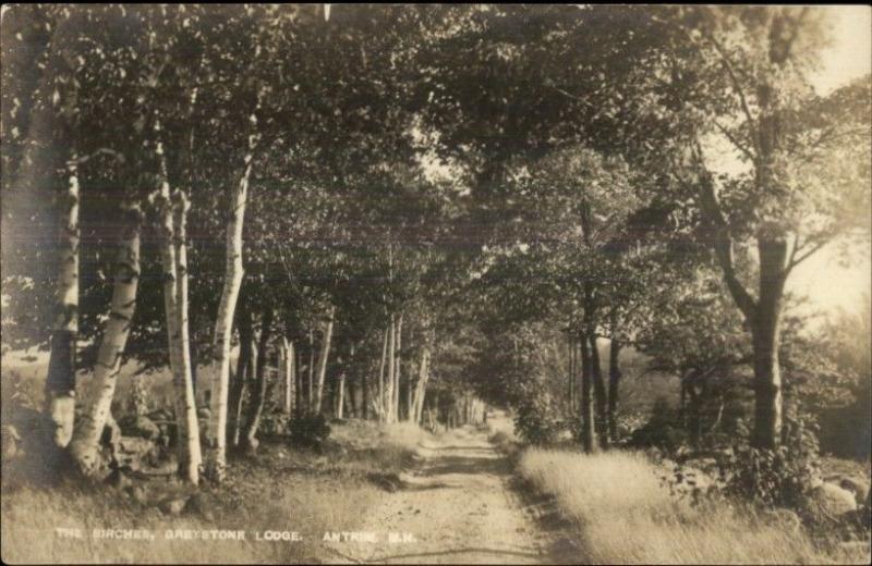 Antrim NH Birches Greystone Lodge c1910 Real Photo Postcard