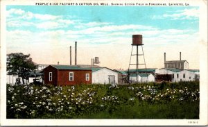 Postcard People's Ice Factory & Cotton Oil Mill in Lafayette, Louisiana