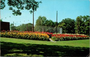 Indiana, Richmond - Flower Garden - Glen Miller Park - [IN-075]