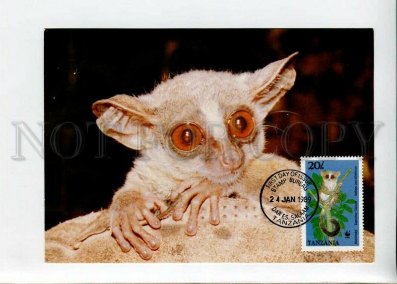 3132590 WWF TANZANIA Lemur old 4 postcards MAXIMUM CARD 1989