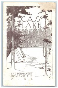 c1920's The Permanent Home Of The Pine Cass Lake Minnesota MN Vintage Postcard