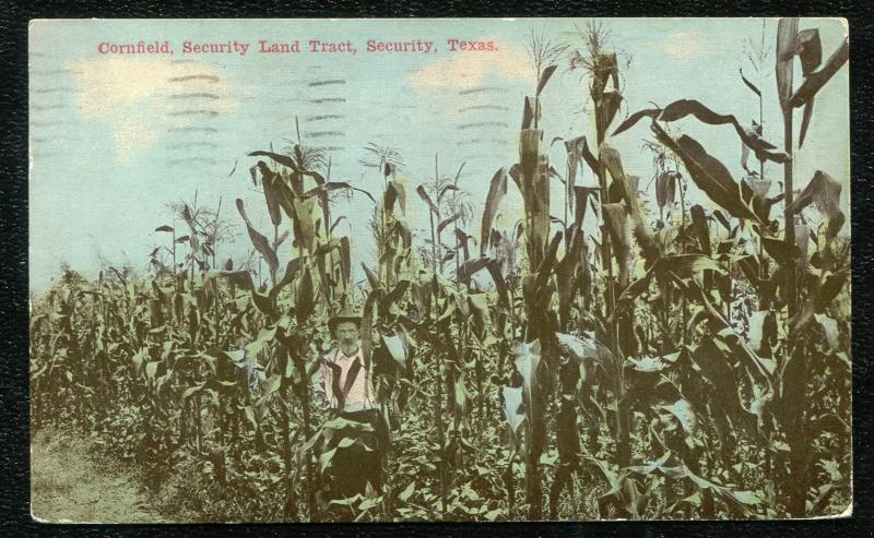 Security Texas tx Cornfield Security Land Tract 1910 postcard