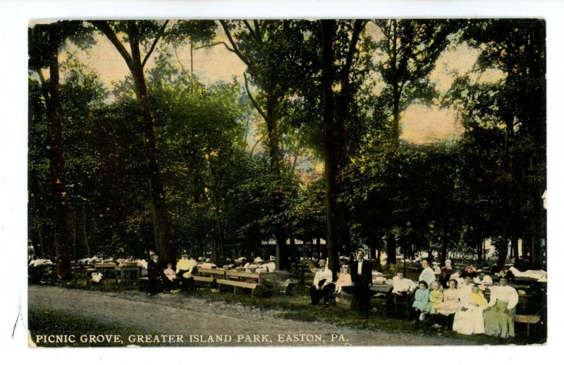 PA - Easton. Greater Island Park, Picnic Grove ca 1911