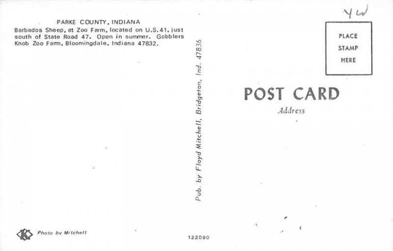 Barbados Sheep Park County, Indiana Sheep Unused 