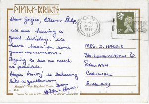 West Highland White Terrier Smooth Coat Mailed 1987