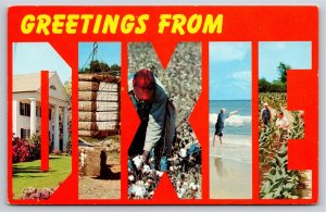 Dixie~Cotton Field & Fishing Scenes~Large Letter CHROME~Vintage Postcard