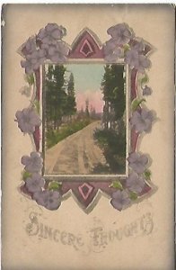 Purple Pansy Pansies Sincere Thoughts Country Lane Antique Postcard 1912