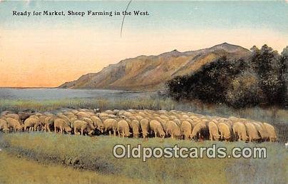 West Sheeping Farming Unused 