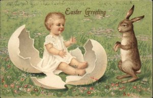 Easter Fantasy Rabbit Sees Baby Hatch from Egg c1910 Vintage Postcard