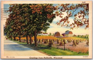 1944 Greetings From Neilsville Wisconsin Lined-Trees Home Road Posted Postcard