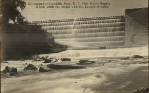 Golboa NY Catskills City Water Supply c1920s Real Photo Postcard