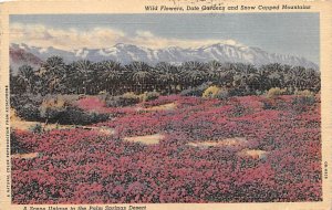 Date Gardens, Snow Capped Mountains Palm Springs CA