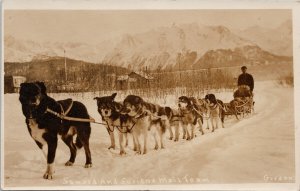 Alaska Seward & Susitna Mail Team Letter Carrier Dogs Sled Gordon RP Postcard H5