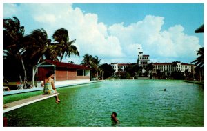 Florida Punta Gordo Hotel Charlotte Harbor  Pool