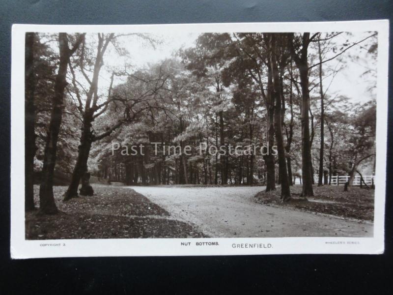 Oldham GREENFIELD Nut Bottom - Old RP Postcard by Wheelers