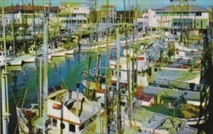 California San Francisco Fishing Fleet At Fisherman's Wharf