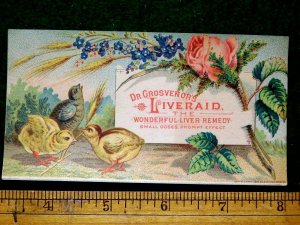 1870s-80s Dr Grosvenor's Liveraid, Bellanodyne Plaster Relieves Pain Card F22