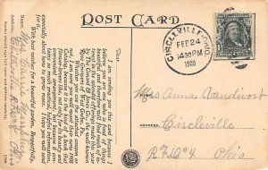 Beautiful Everblooming Roses Beautiful Everblooming Roses