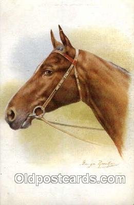 Artist George Rankin Horse Unused 